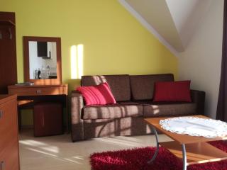 Luxury Apartment - 1