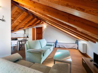 Attic historic building with air conditioning - 2