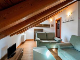 Attic historic building with air conditioning - 0