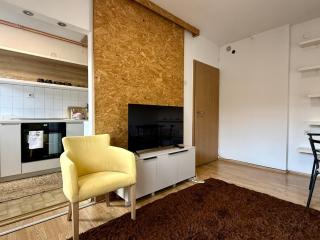 One Bedroom City Center Apartment - 5