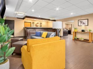 Comfort Inn Detroit Downtown - 3