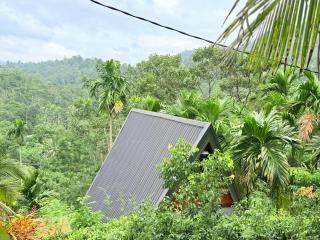 Rainforest Emerald Haven - 5