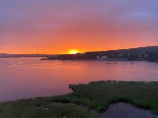 Home By Livia - Sunset Apartment - sauna - free P - lake view - 7