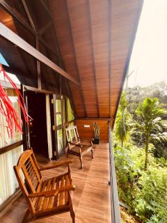 Rainforest Emerald Haven - 6