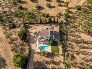 Elia country villa 5BR 5BA with Private Pool - 3