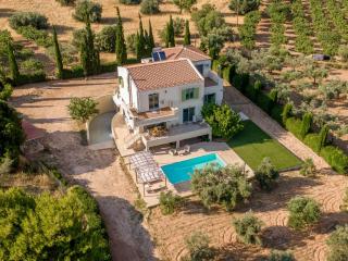 Elia country villa 5BR 5BA with Private Pool - 6