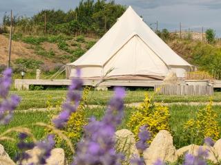 ILLU Glamping - 4