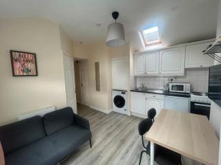 Charming 1Bed Flat In Dublin Sleeps 2 - 4
