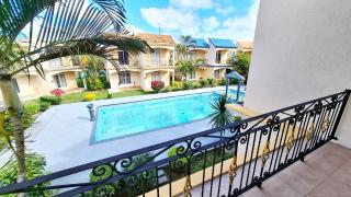 Palm Breeze - 2