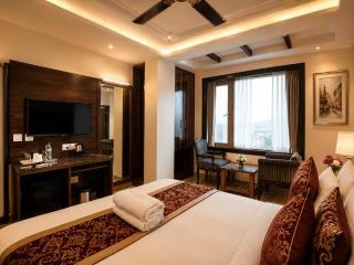 Hotel Atlanta Continental, Paharganj New Delhi - 7