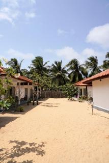 Summer wave kudawa and Kite surfing school - 6