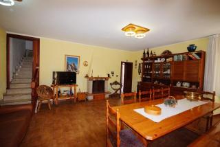 I due cipressi - Cagli - 0