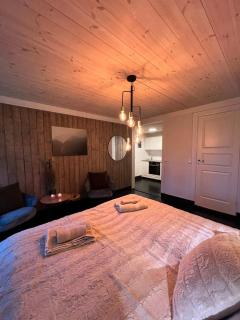 Voss-Oppheim Suites Pool&Sauna Voss & Flom - L1 - 1