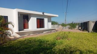 Pati place - 6