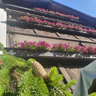 Villa Martha Vintage Hotel-B&B - 1