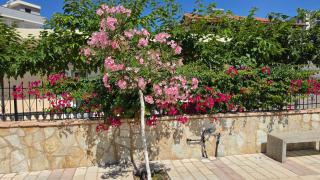 Guesthouse Agalliu - 3