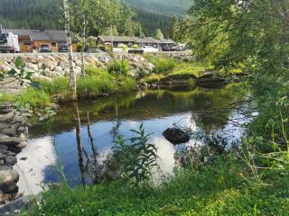 Hemsedal - 2 bedrooms - WI-FI - 5