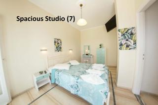 Elaionas Holiday Home studios and apartments - 6