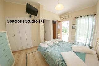 Elaionas Holiday Home studios and apartments - 2