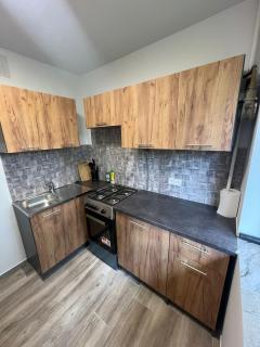 Refurbished 1 bedroom apartment for rent - 7