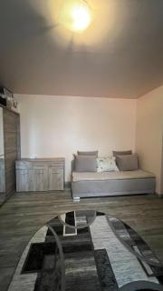 Nistor Apartment - 3