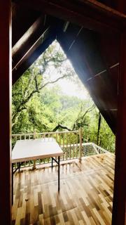 Green Forest Cabanas - Ella - 7