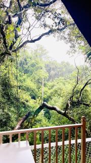 Green Forest Cabanas - Ella - 6