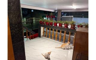 Eden Gardens Home Stay - Coimbatore - 2