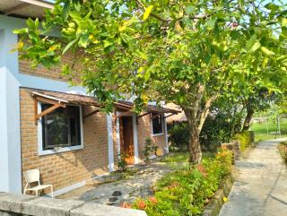 The Blue House - 9