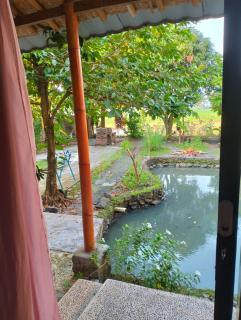 The Blue House - 4