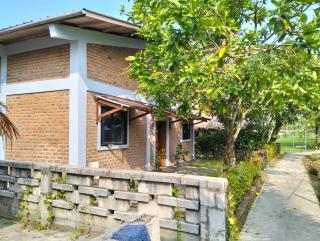 The Blue House - 0