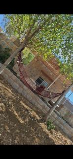 Beit El Jabal - 5