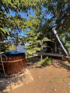 Forest Whisper - Mountain Retreat - 6