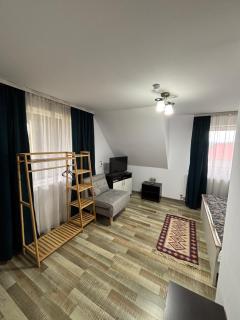 Casa Sofia Dorna Candrenilor - 4