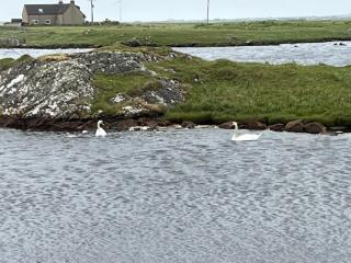 South Uist Family home - 7
