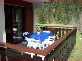 Charmant 2 pièces avec terrasse, proche commodités et navettes, 4 pers, WiFi, parking, Châtel - FR-1-676-187 - Châtel - 1