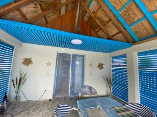 Casa tanase - 9