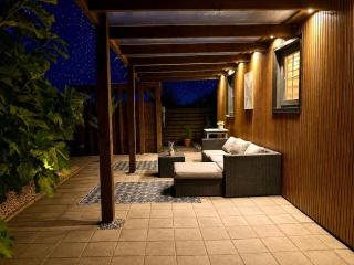 Cozy wellness cabin with home cinema and private jacuzzi ,sauna and garden between Amsterdam Haarlem and Schiphol Airport - 2