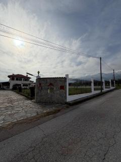 VillatoRodon - 9
