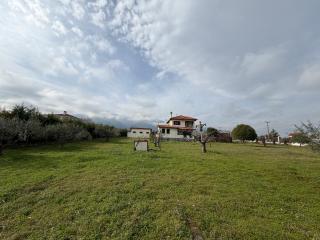 VillatoRodon - 8