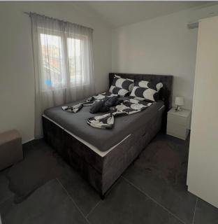 Apartments Vila Fata - 1