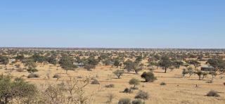 Jansen Kalahari Guest Farm - 8