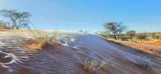 Jansen Kalahari Guest Farm - 5