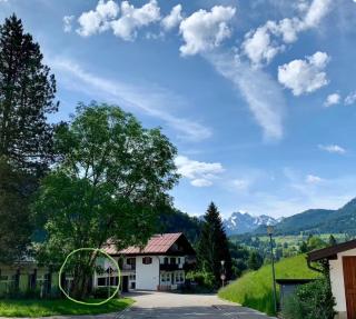 Alpenländischer Chalet-Chic - 8