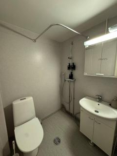 Arctic Boreal Studio - 5