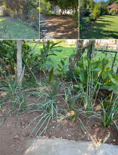Bush Croft Waterberg - 3