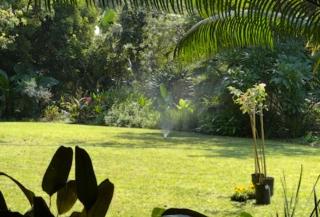 Bush Croft Waterberg - 1
