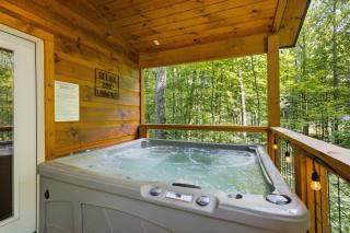 Bearly Behaving cabin - 0