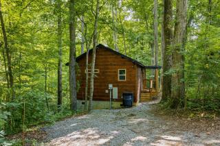 Bearly Behaving cabin - 6