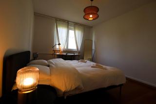 Comfortable Home in Zürich Altstetten - 3